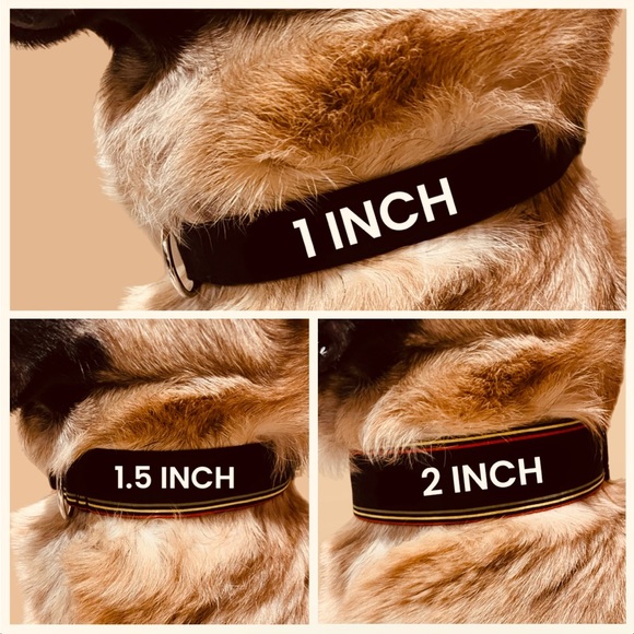 0.75” Dog Collar - White with Paw Prints/Bones, Paw Print Dog Collar, Paw Prints - Picture 15 of 15